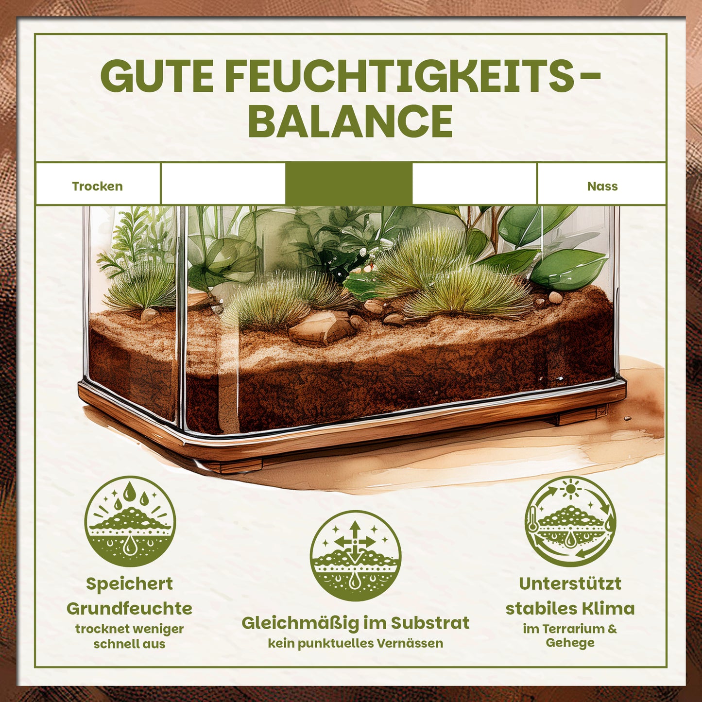 Schildkrötenerde mit ausgeglichener Feuchtigkeitsbalance für stabiles Terrarienklima