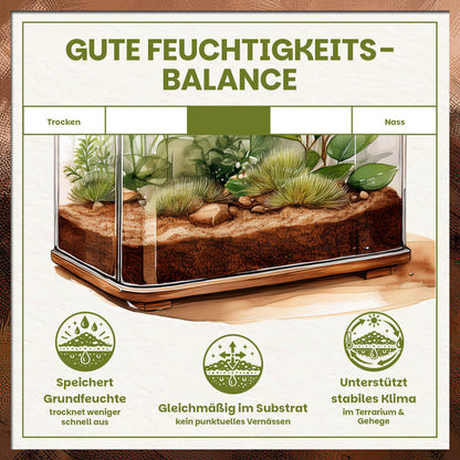 Schildkrötenerde mit ausgeglichener Feuchtigkeitsbalance für stabiles Terrarienklima