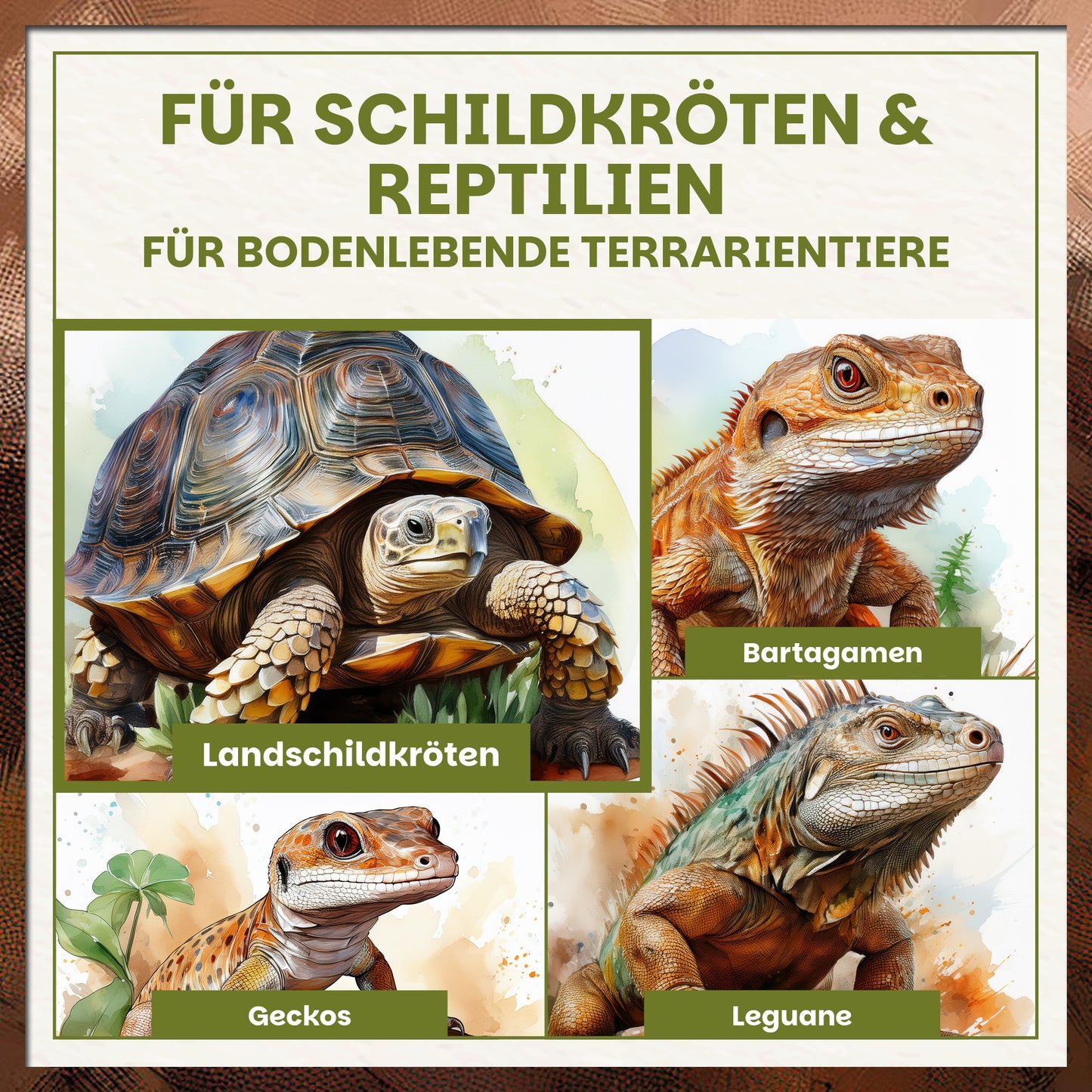 Schildkrötenerde für Landschildkröten, Bartagamen, Geckos und Leguane im Terrarium