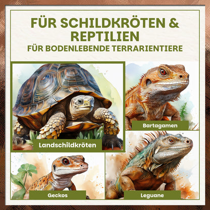 Schildkrötenerde für Landschildkröten, Bartagamen, Geckos und Leguane im Terrarium
