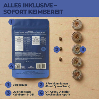 SCHLAF Cannabis Starter Set Inhalt – 3 Samen, 4 Quelltabletten, digitaler Wochenplan