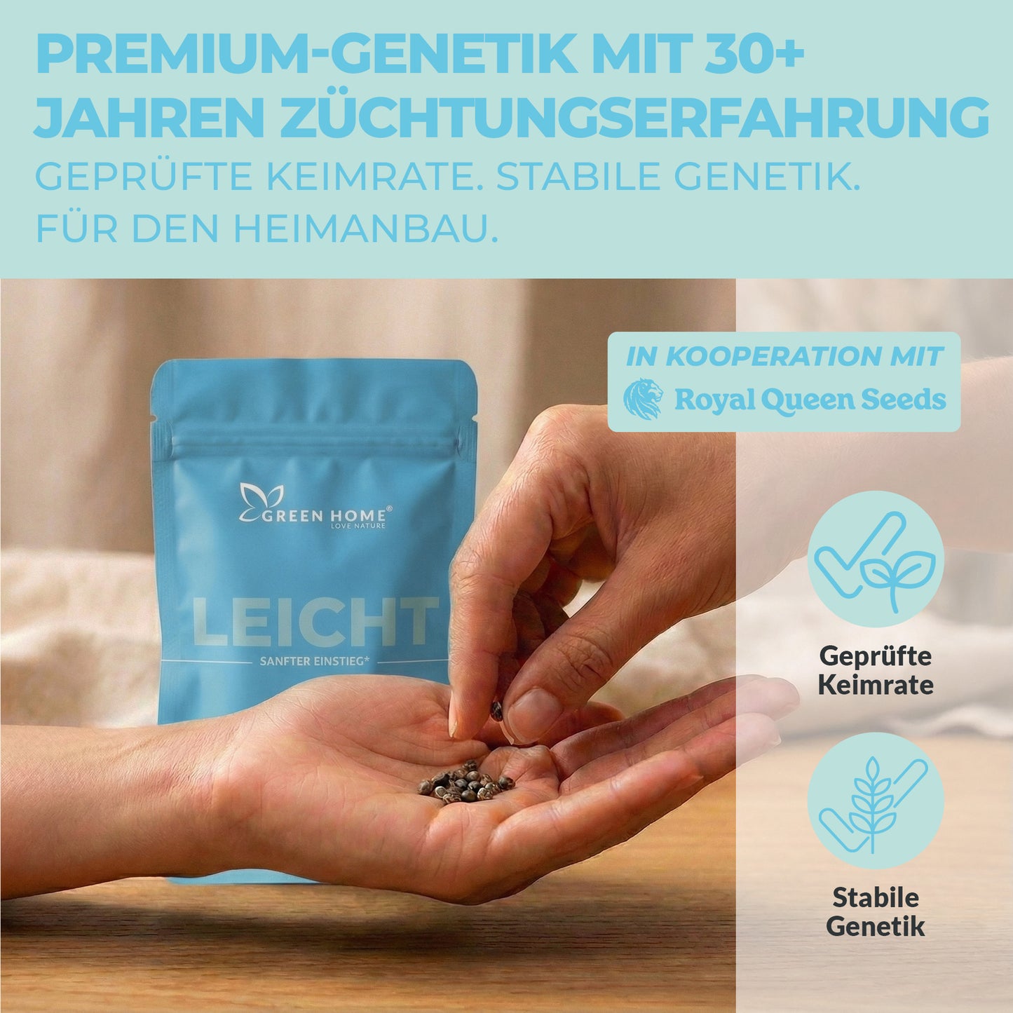 3 Stress Killer CBD Cannabis Samen von Royal Queen Seeds in Handfläche