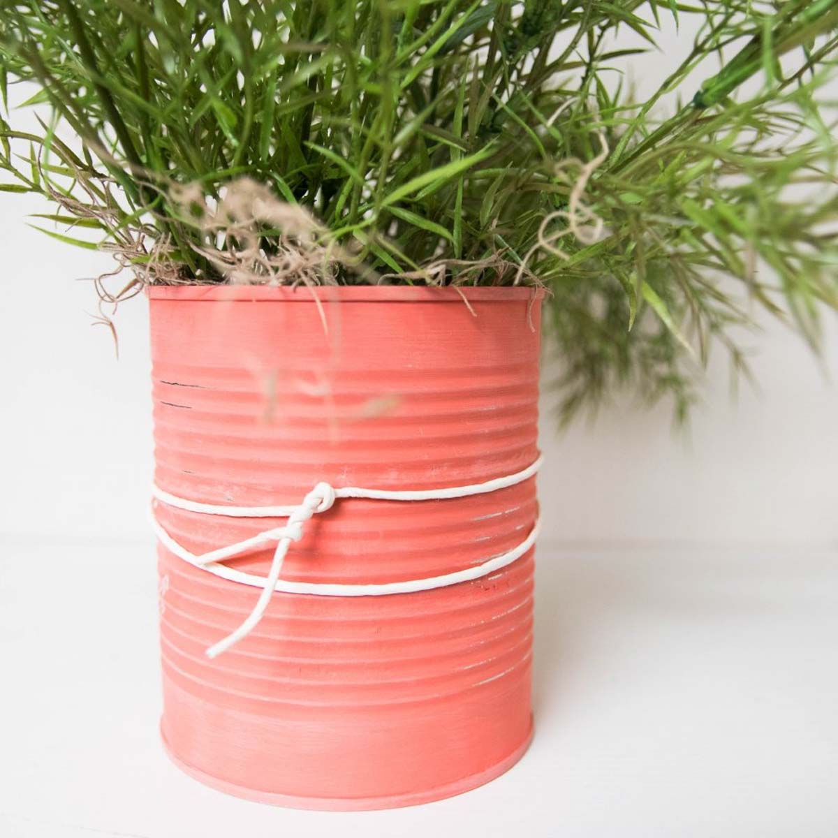 Upcycling Blumentopf aus Metalldose in Koralle mit grüner Pflanze und weißer Kordel als Dekoration.