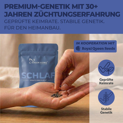 3 White Widow Auto Cannabis Samen von Royal Queen Seeds in Handfläche